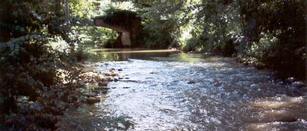 La Brenne à Pont de Preugny
