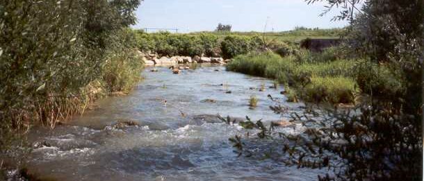La Brenne au Lusio