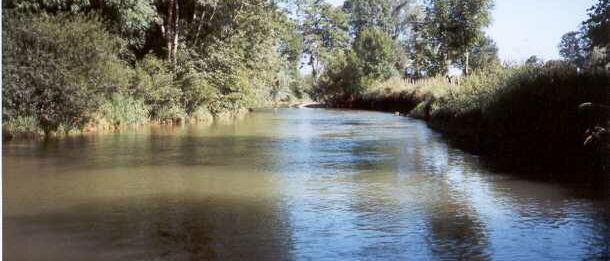 La Brenne à Seigny
